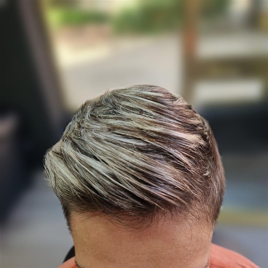 Pelo con mechas grises y blancas